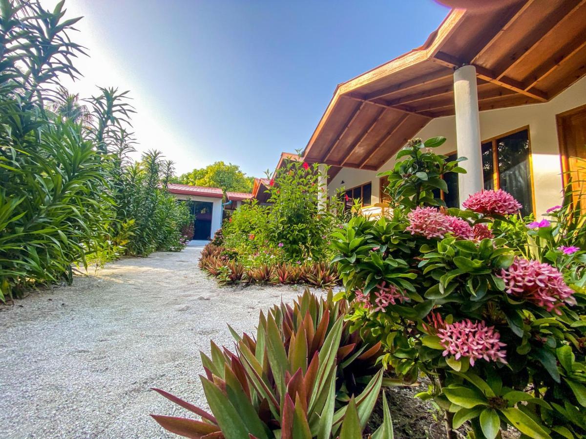 Thoddoo Beach Holiday Exterior foto