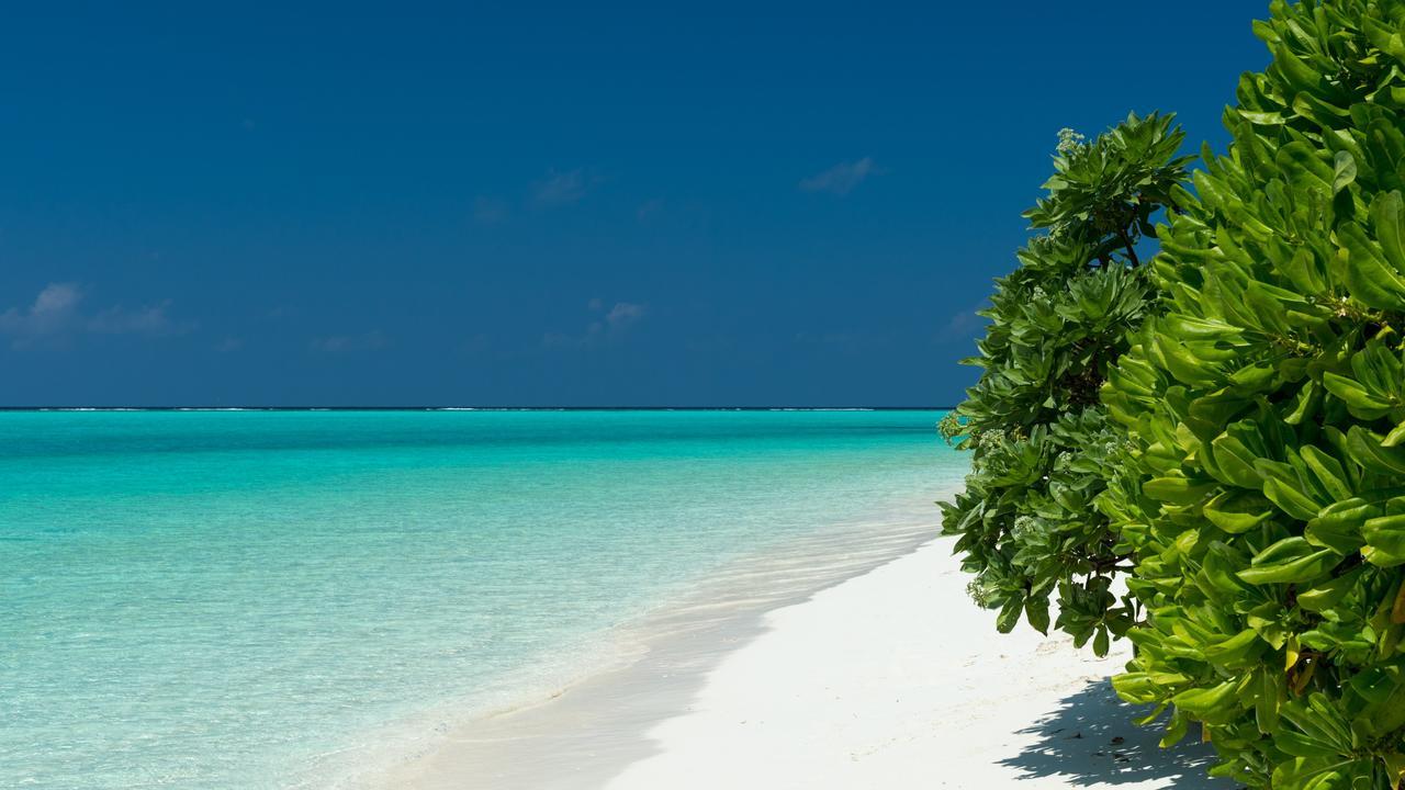 Thoddoo Beach Holiday Exterior foto