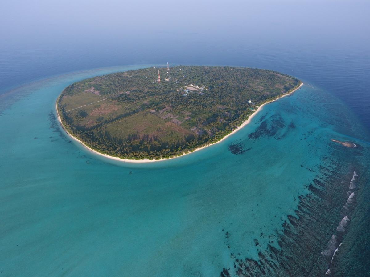 Thoddoo Beach Holiday Exterior foto