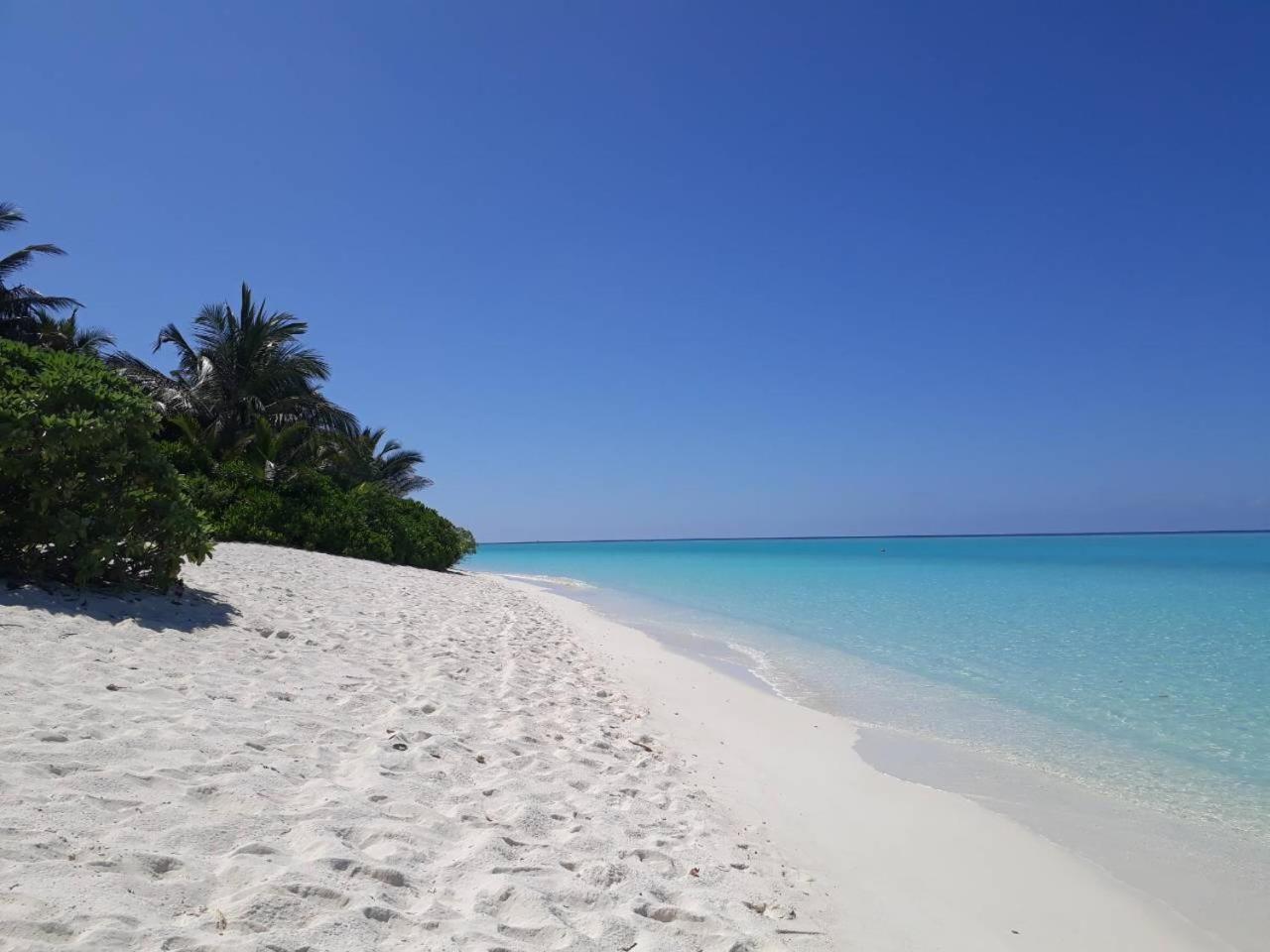 Thoddoo Beach Holiday Exterior foto