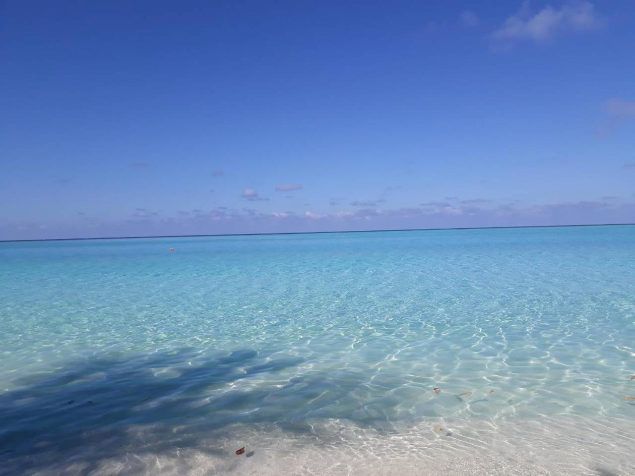 Thoddoo Beach Holiday Exterior foto