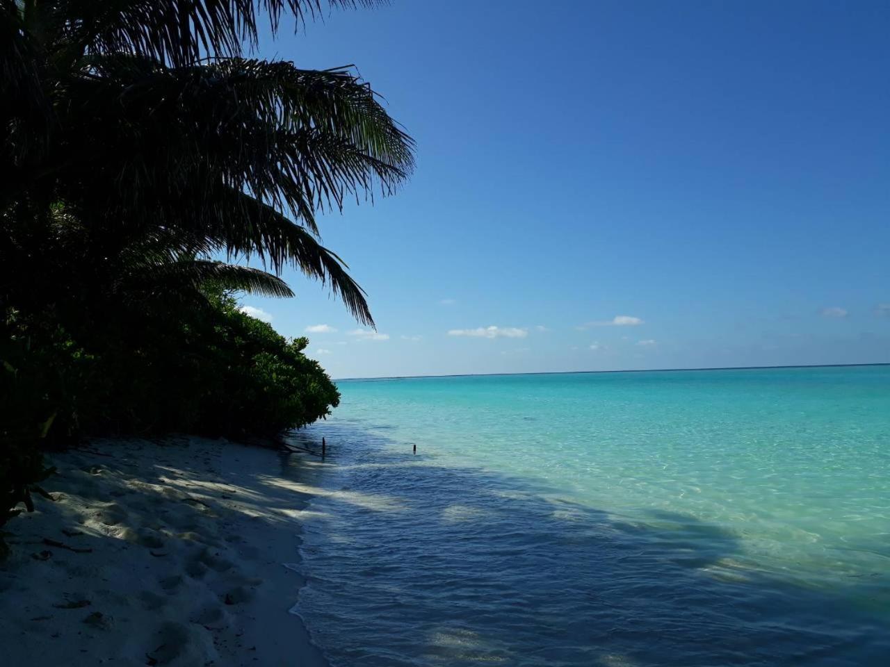 Thoddoo Beach Holiday Exterior foto